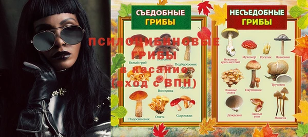 мяу мяу мука Богданович