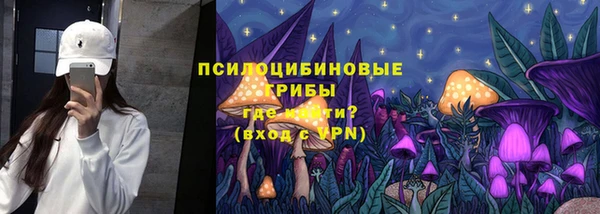 ГАЛЛЮЦИНОГЕННЫЕ ГРИБЫ Богородск