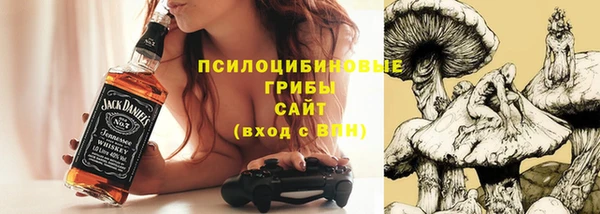марки lsd Богородицк