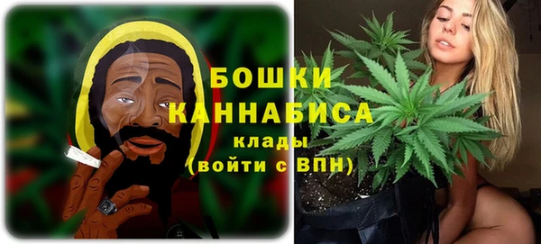 ГАЛЛЮЦИНОГЕННЫЕ ГРИБЫ Богородск