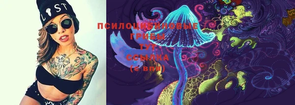 ГАЛЛЮЦИНОГЕННЫЕ ГРИБЫ Богородск