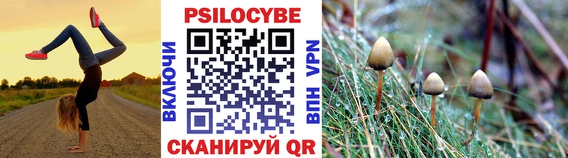 Псилоцибиновые грибы мухоморы  Купить закладки  Рудня 
