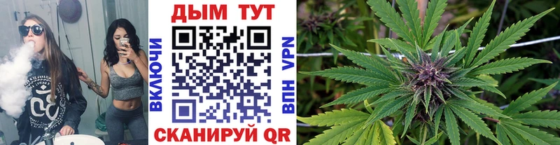 Канабис MAZAR  Купить где  Рудня 